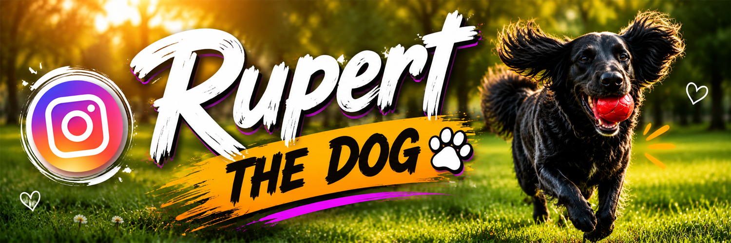 Rupert The Dog banner